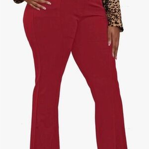 DGD wrinkle free boot cut stretch Dress pants . NWT size 2XL